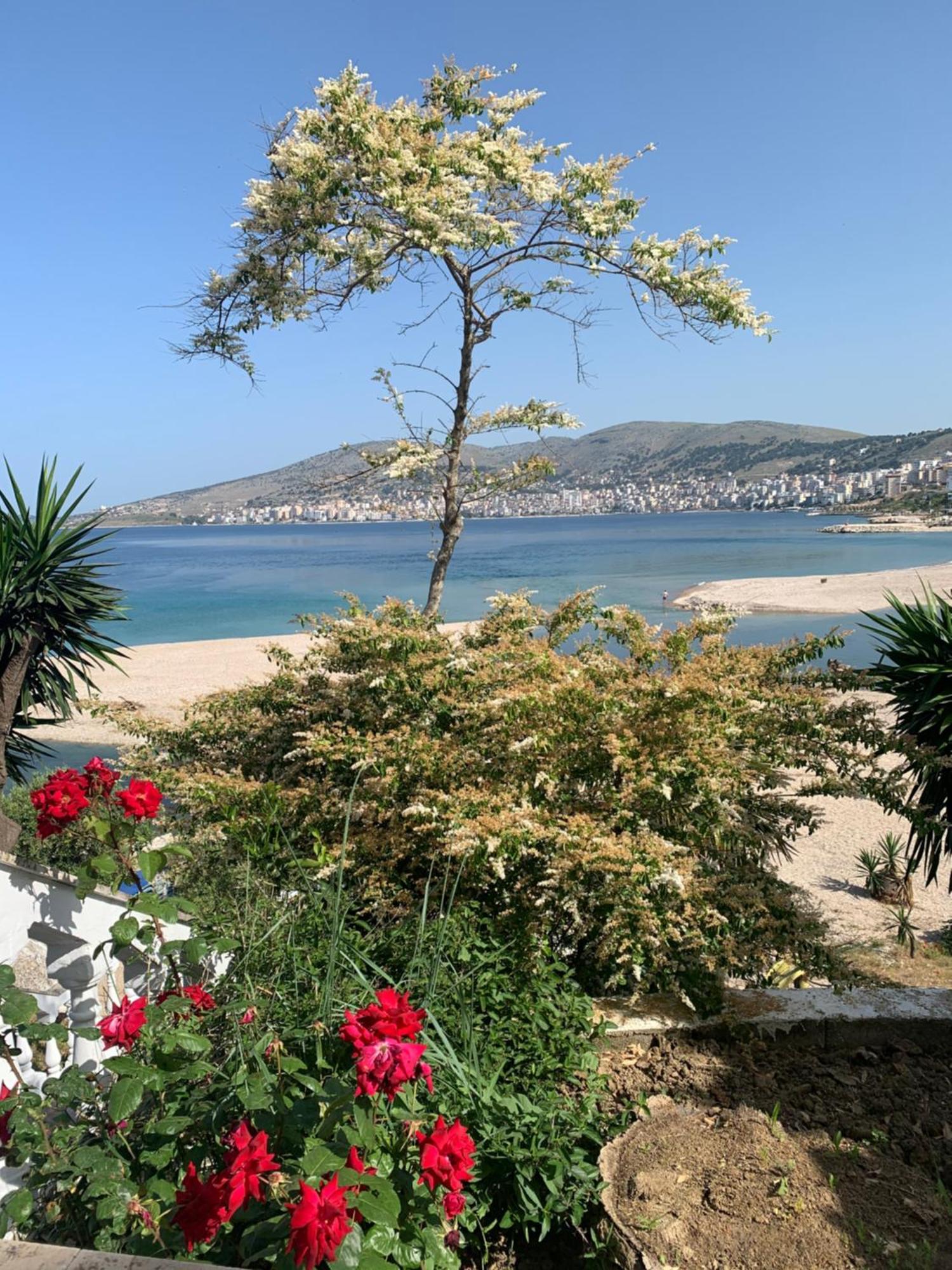 Hotel Dodona Sarandë エクステリア 写真